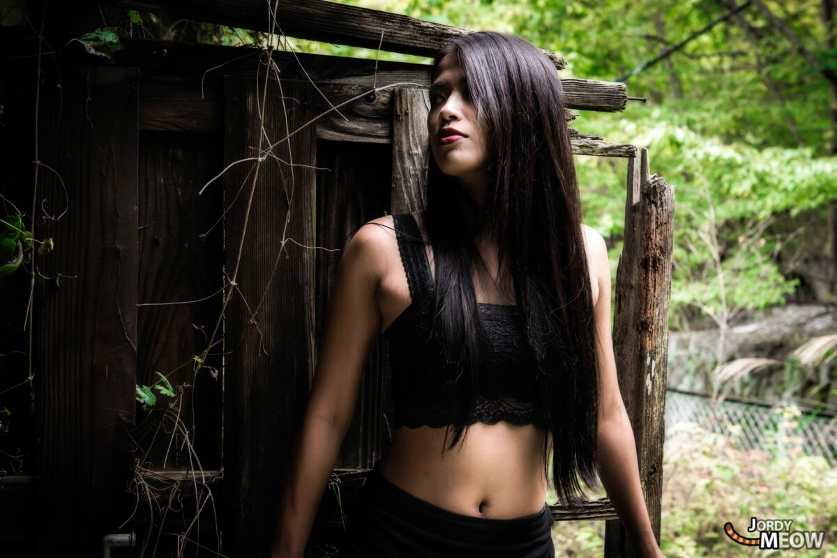 Explore abandoned Nichitsu Mining Village with Joan - a haunting glimpse of Japans past.