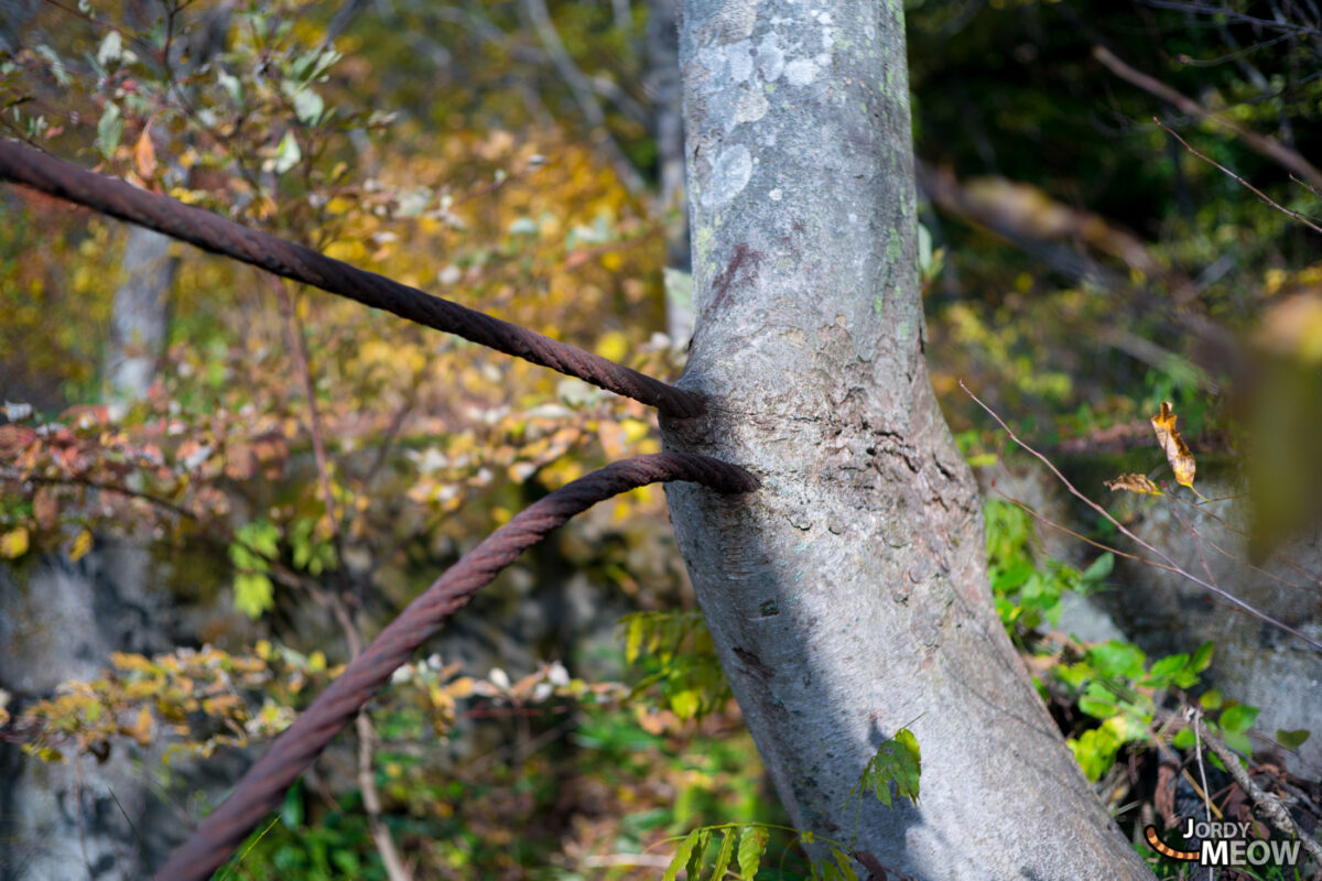 Explore the beauty of autumn at Wagakawa Hydro Plant in Tohoku, Japan.