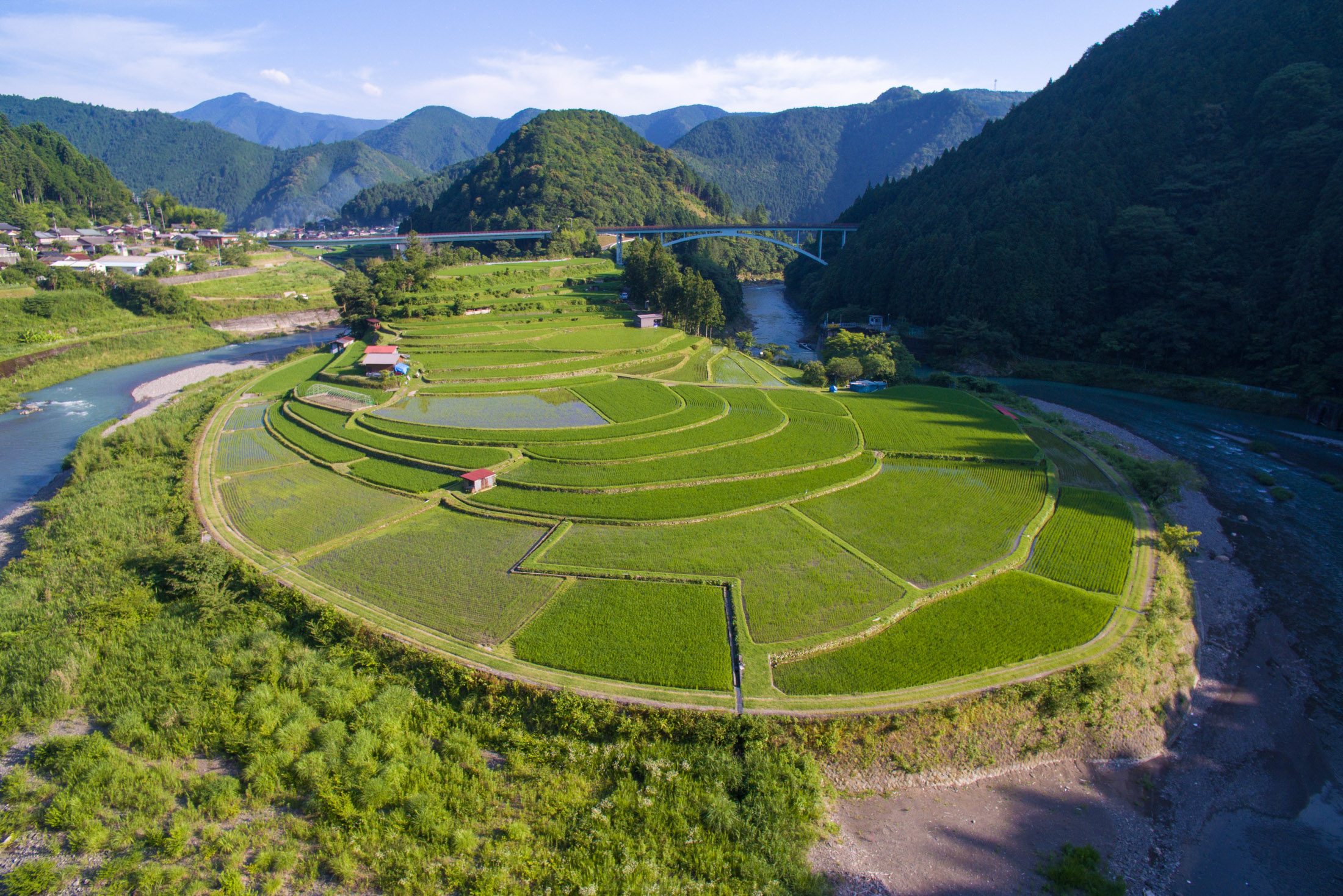 Aragi Island Rice Fields