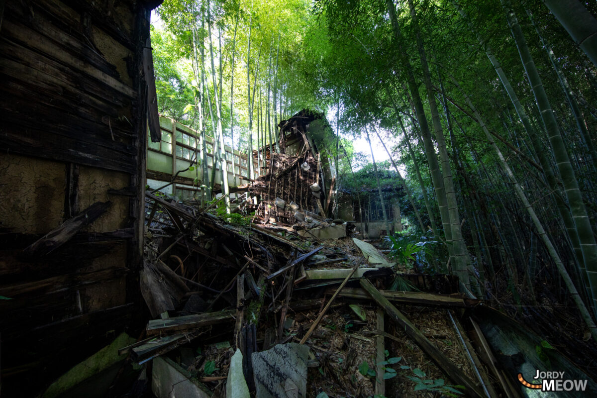 Exploring abandoned Japanese clinic reclaimed by nature