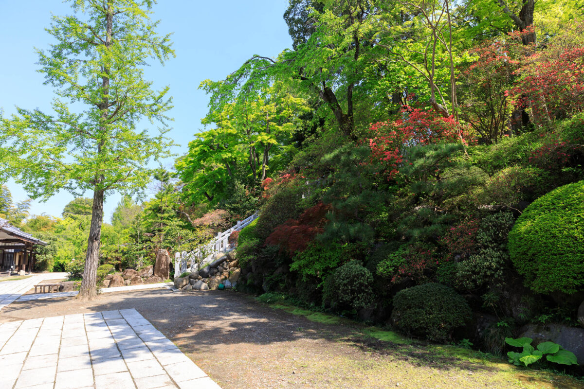 Shōrinzan Daruma-ji Temple
