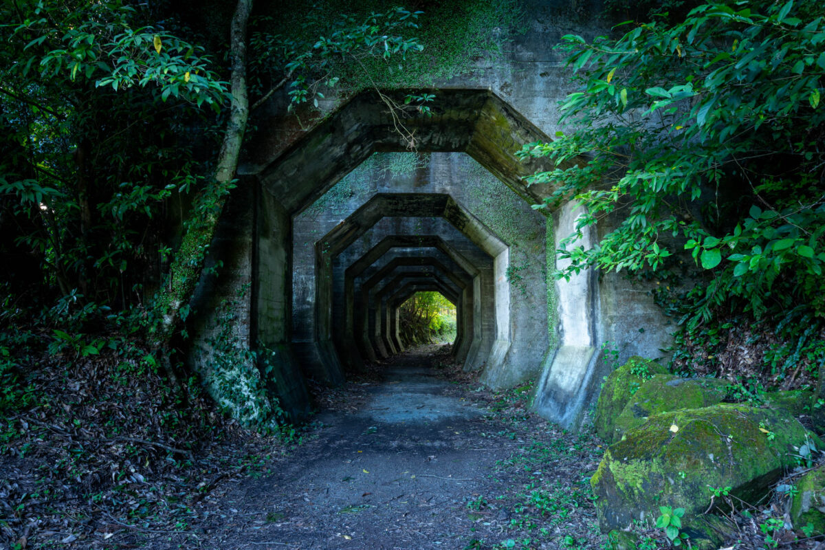 Octagon Tunnel