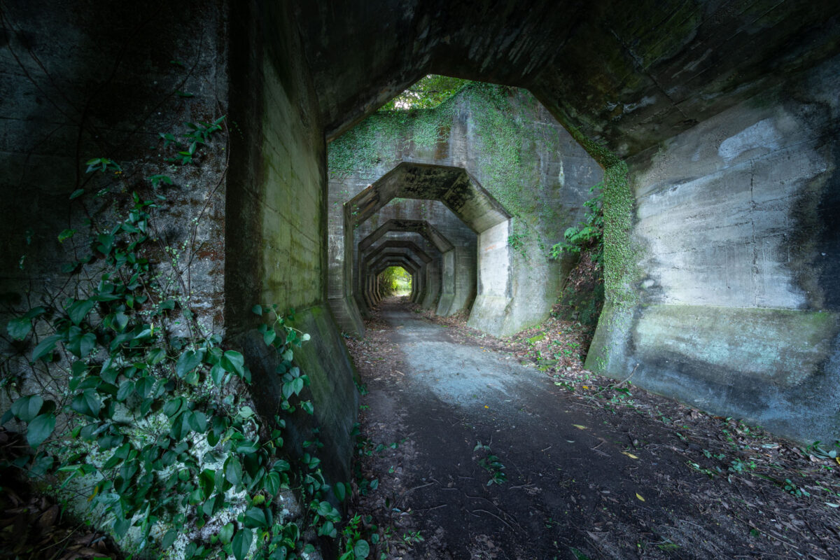 Octagon Tunnel