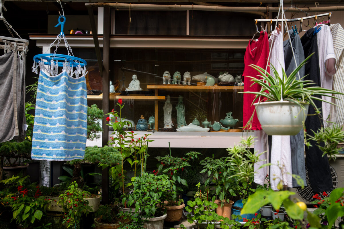 Eclectic outdoor shelves oasis