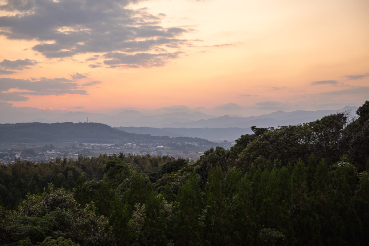 Vibrant sunset over lush forest, city skyline
