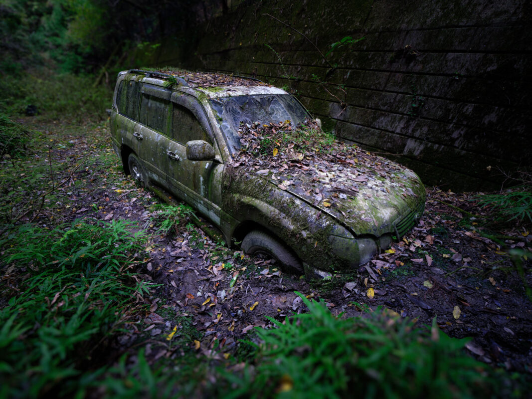 Abandoned Toyota Land Cruiser half-sunken in forest, covered in moss and leaves beside retaining wall.