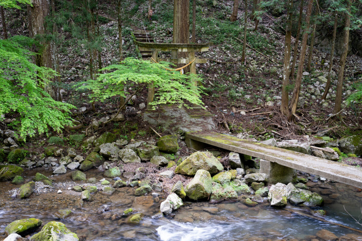 Wooden bridge over forest stream leading to hidden Shinto shrine and torii gate