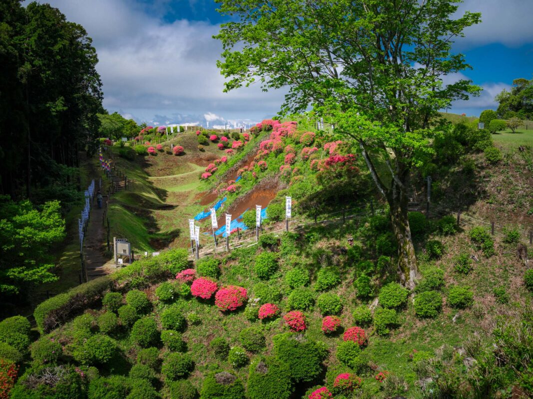 Yamanaka Castle Ruins in Japan with grassy earthworks and spring azaleas in bloom.