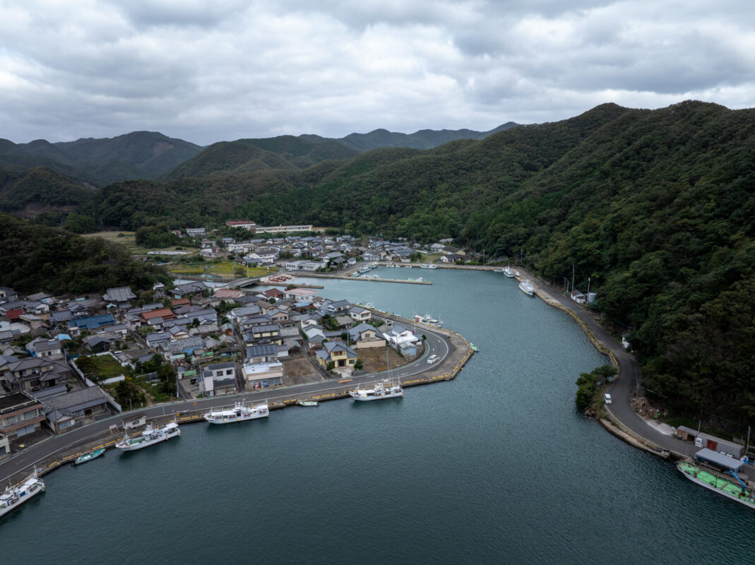 Aerial view of secluded coastal harbor town with fishing boats and forested mountains