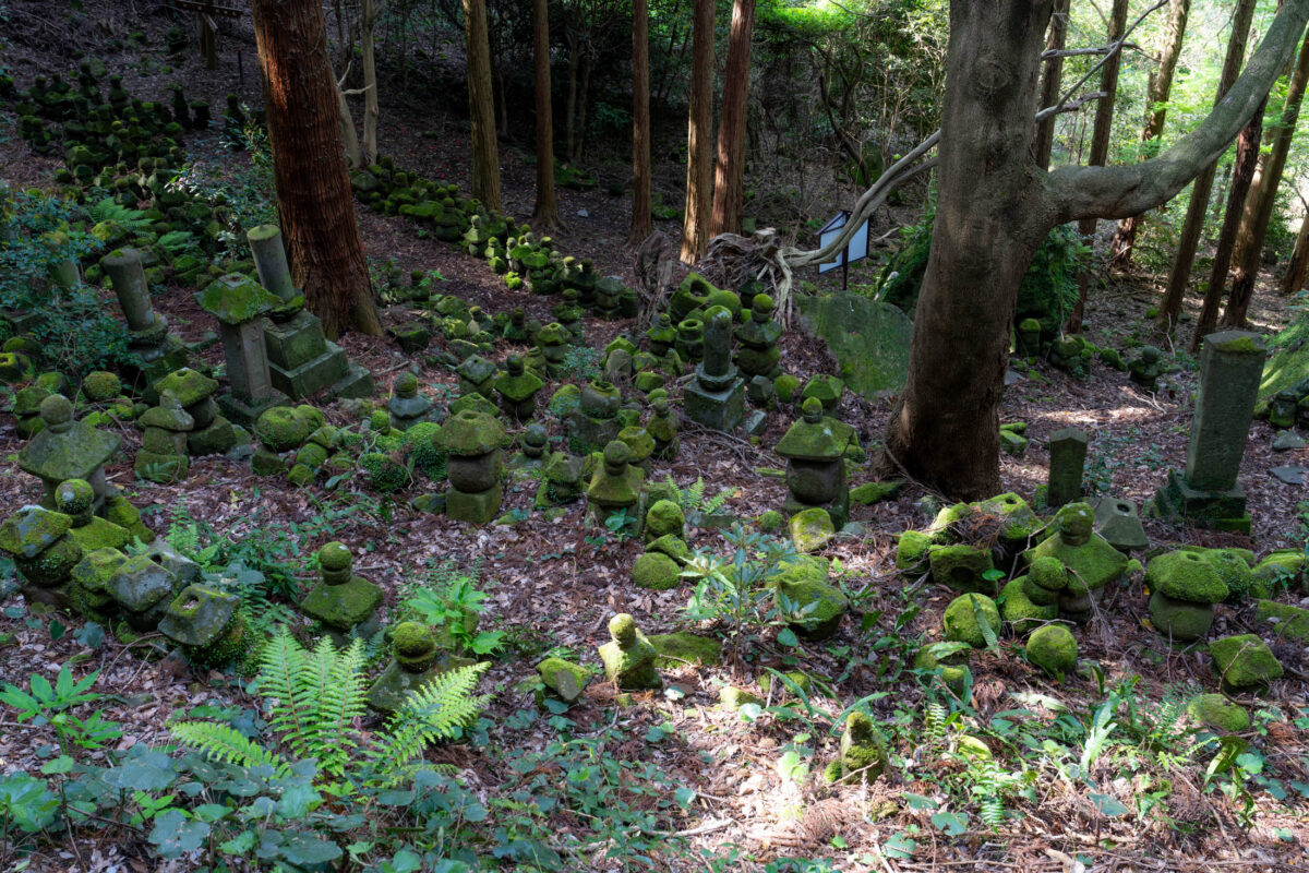 Moss-covered stone statues and markers at Kyu-Sento-ji forest temple ruins in Japan