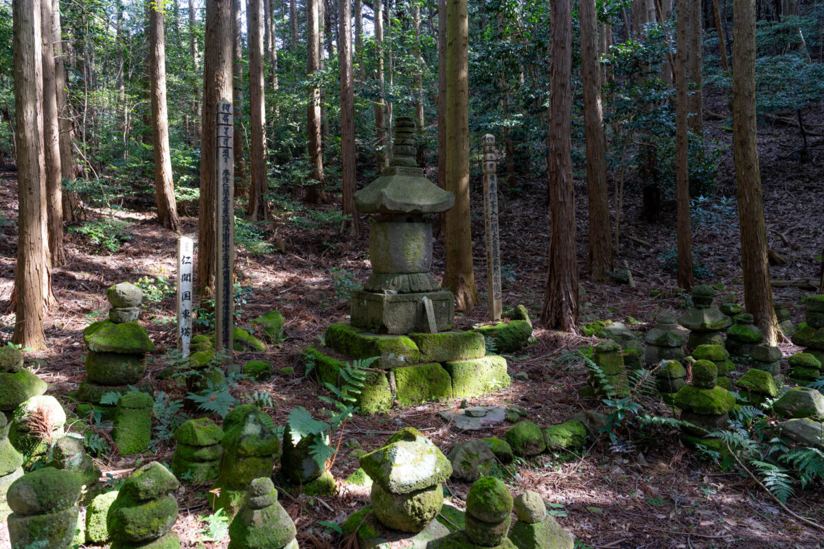 Moss-covered stone lanterns and markers in the abandoned Kyu-Sento-ji temple forest, Japan.