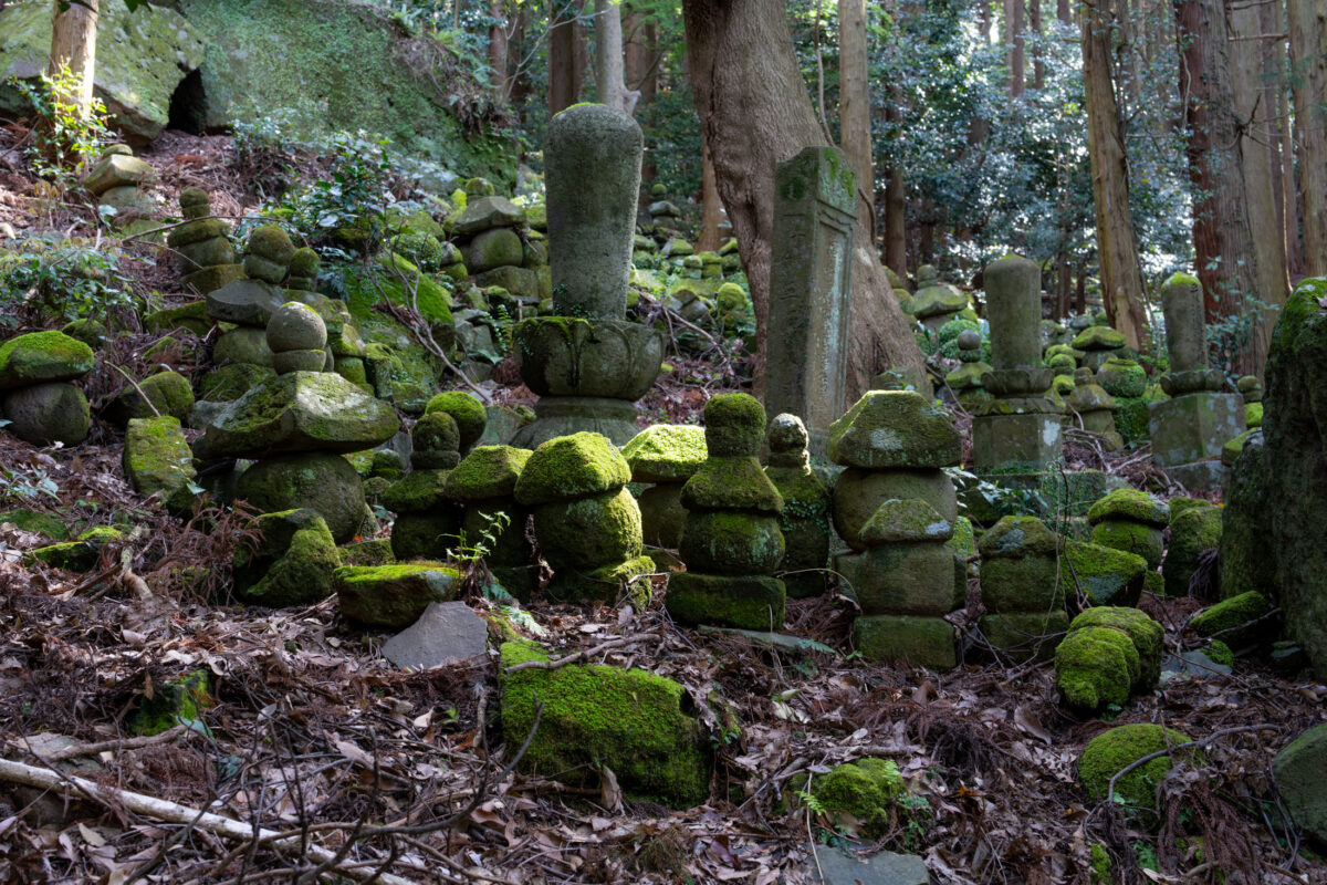 Moss-covered stone grave markers on a forested hillside at Kyu-Sento-ji temple cemetery.