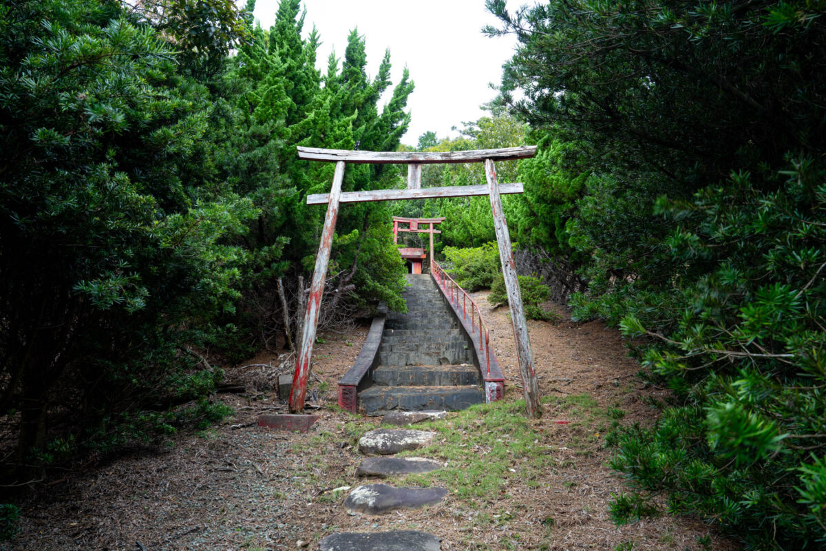 Weathered torii gate over stone steps leading to secluded forest Shinto shrine.