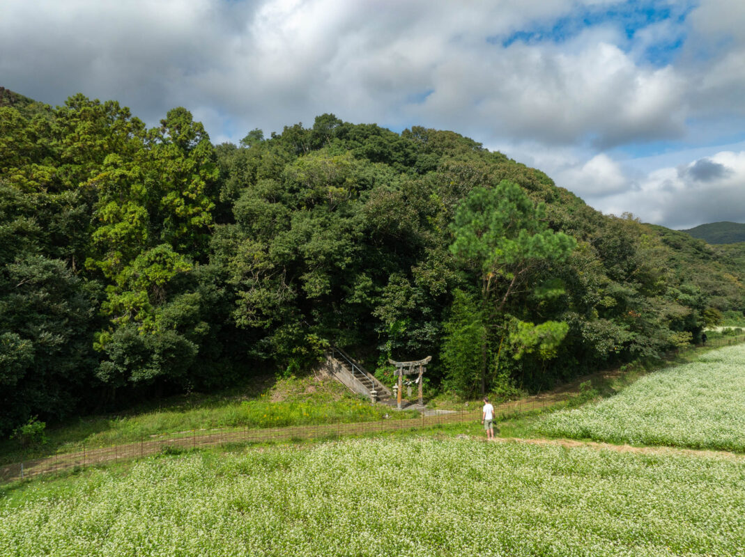 Torii gate and stone steps at Uematsu Shrine in rural Japan, with lone visitor