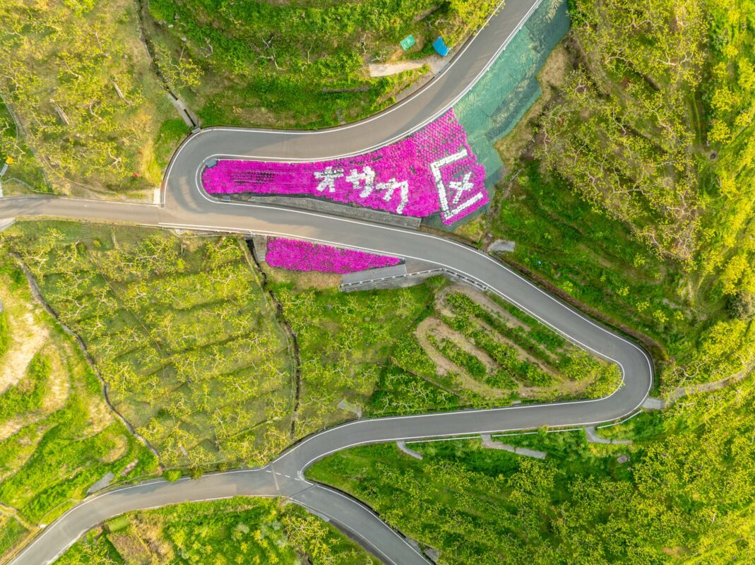 Aerial view of Ukiha Inari Shrine hillside with winding road and pink flower characters.