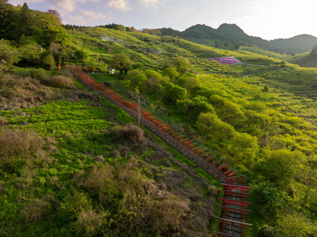Red torii gate pathway climbing lush hillside at Ukiha Inari Shrine, Japan