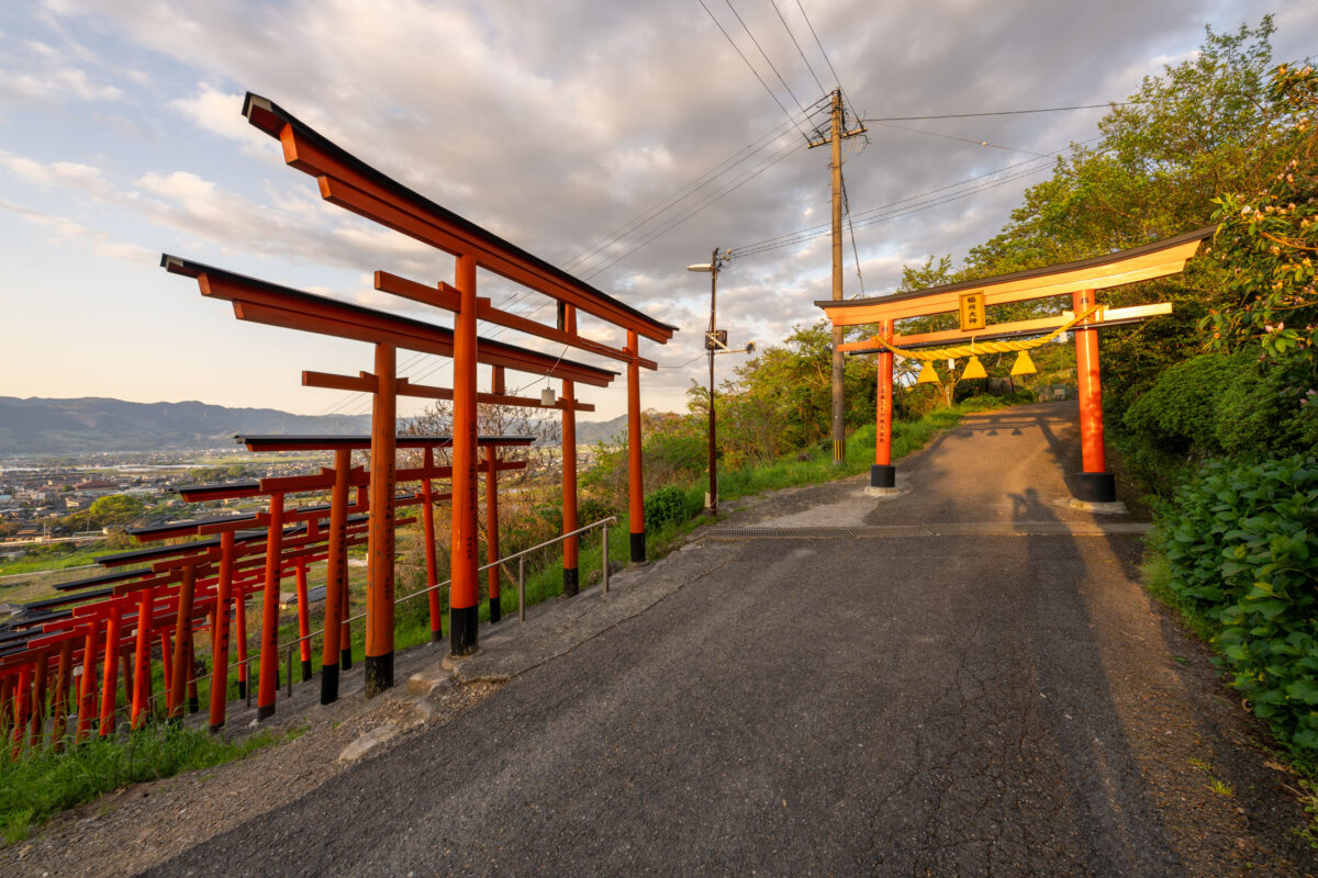 Vermilion torii gates at Ukiha Inari Shrine on a hillside overlooking a valley in Japan.
