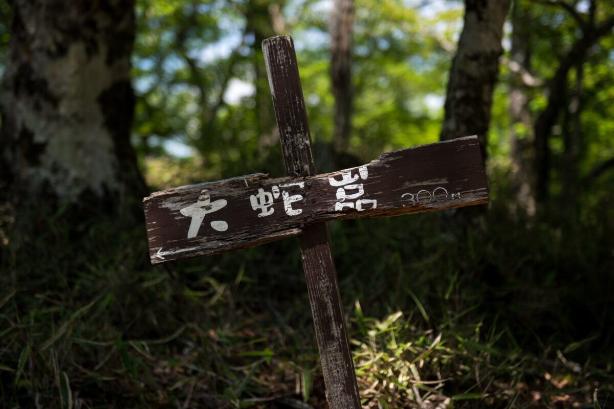 Weathered wooden trail sign with Japanese characters in Mount Odaigahara forest trail