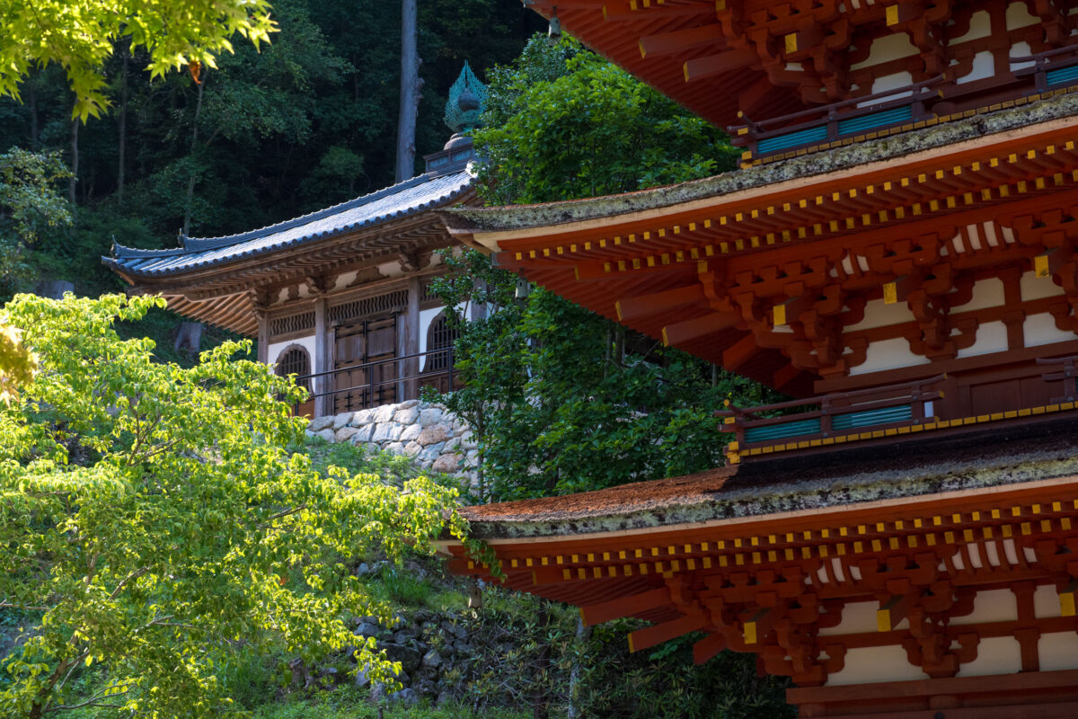 Vermilion pagoda and temple buildings at Hase-dera, nestled in forested hills of Nara, Japan.