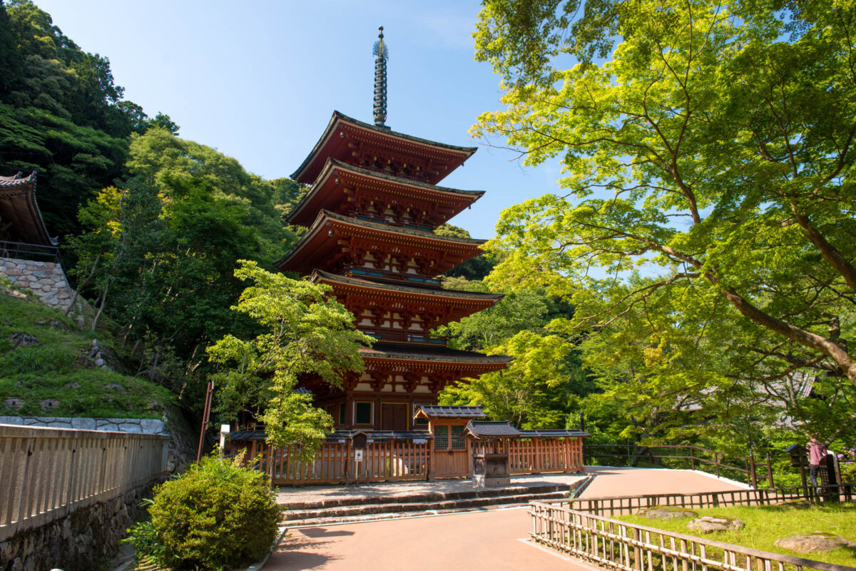 Hase-dera Temple pagoda in Nara, Japan, above forested hillside path