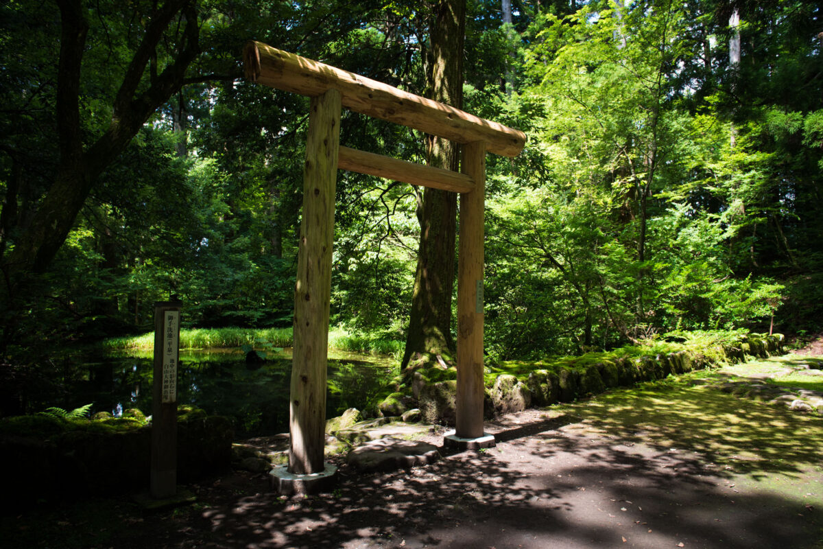 Wooden torii gate on mossy forest path at Heisenji Hakusan Shrine, Japan.