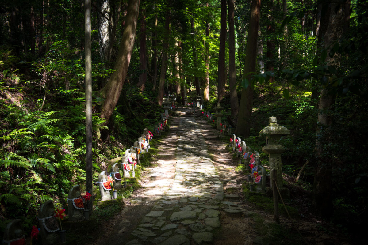 Stone path to Kongōrin-ji Temple through forest, lined with Jizō statues in red bibs.