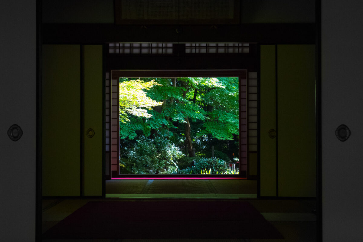 Kongōrin-ji Temple interior framing a tranquil Japanese garden through a rectangular opening