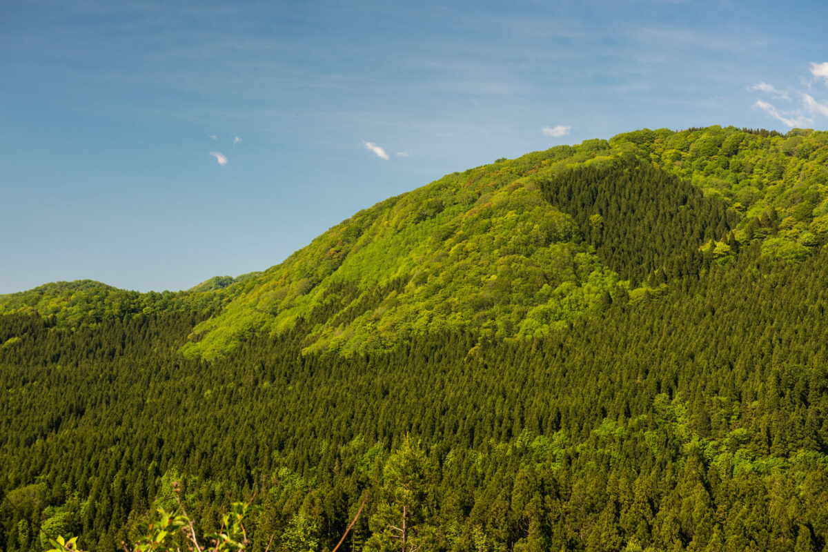 Mount Futatsumori forested green slopes under a clear blue sky in daylight