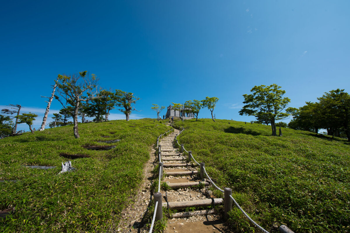 Wooden stairway trail up Mount Ōdaigahara grassy summit under clear blue sky