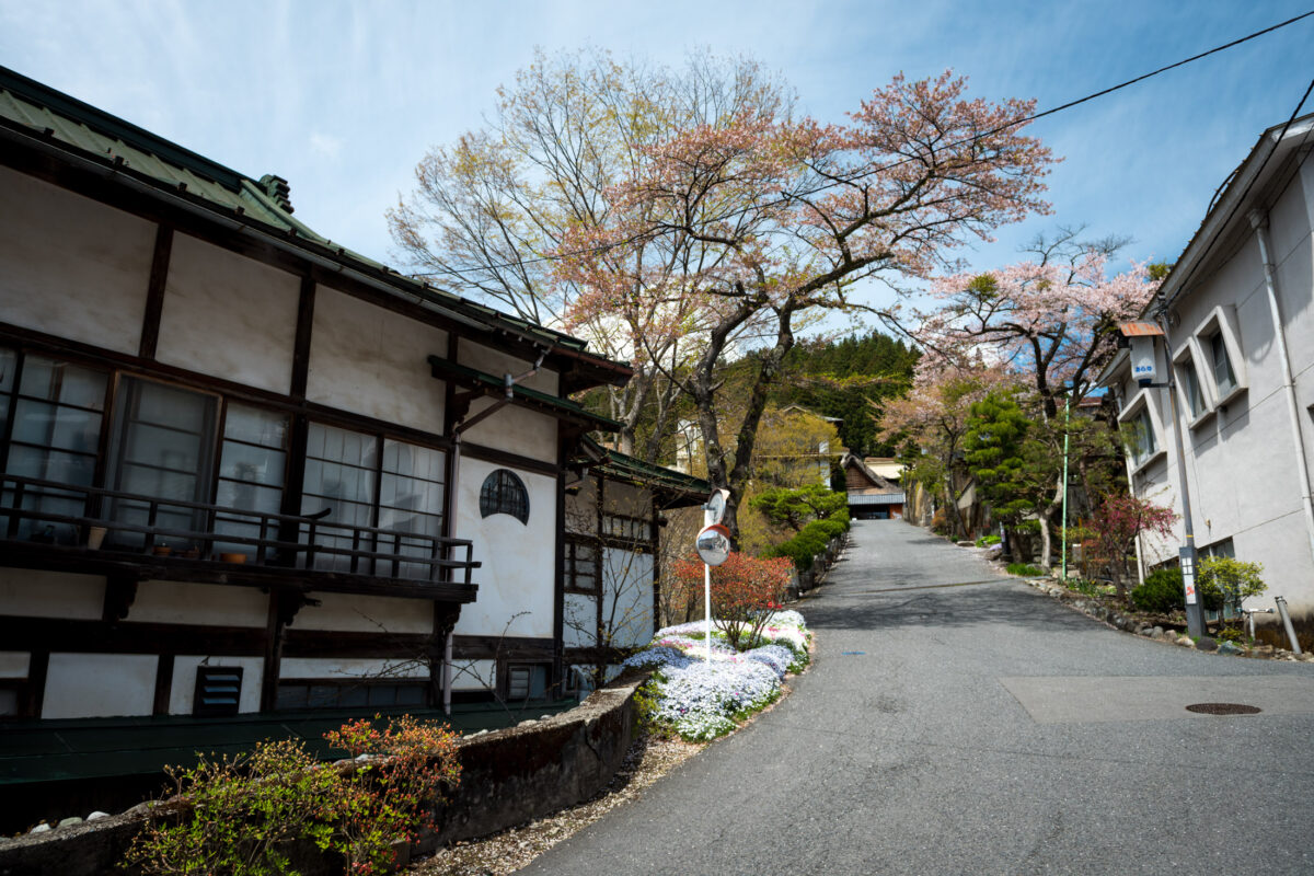 Uphill street at Sekizenkan Ryokan with traditional buildings and cherry blossoms in spring