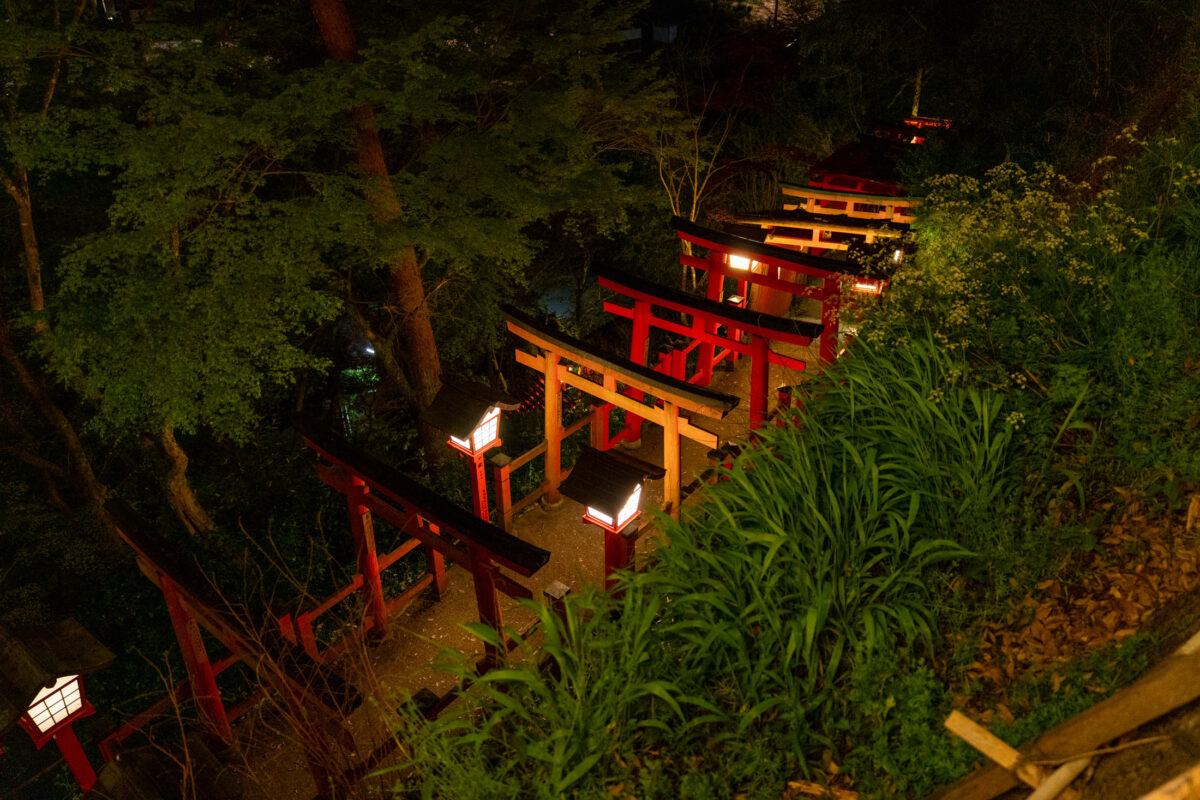 Lantern-lit red torii gates at Taikodani Inari-jinja Shrine path in Japan at night.