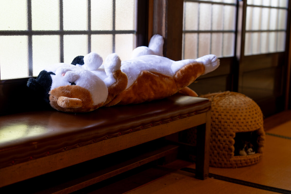 Plush cat toy on wooden bench in tatami room with shoji screens, Unrin-ji temple