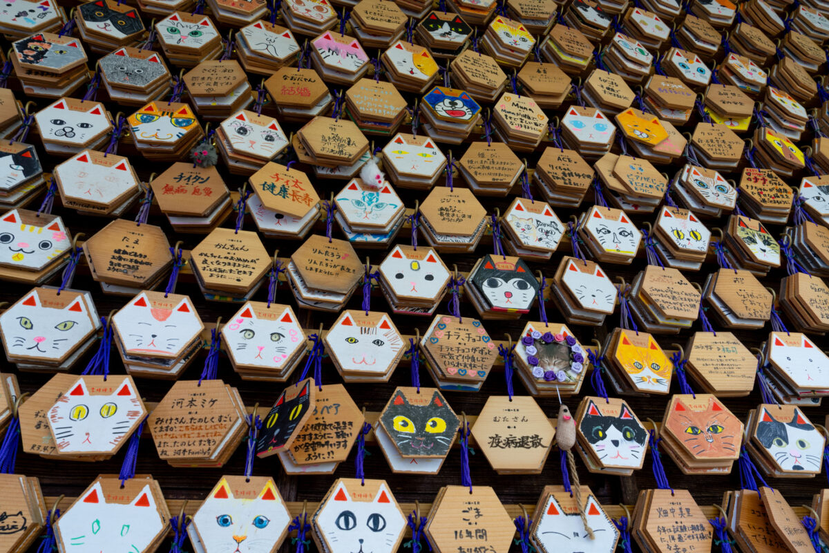 Cat-themed wooden ema prayer plaques covering a wall at Unrin-ji Temple, Japan.
