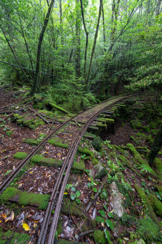 Moss-covered narrow-gauge railway tracks curving through lush forest in Arakawa to Ishizuka