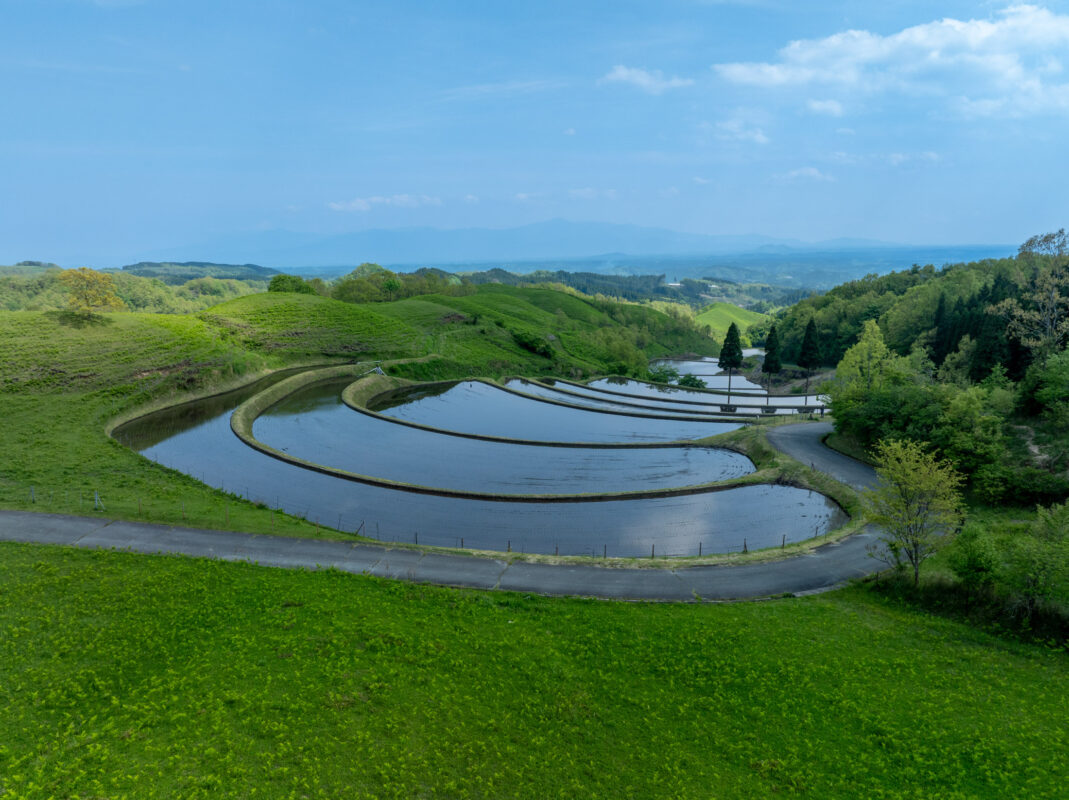 Ogi rice terraces with water reflecting sky, surrounded by green hills and winding path