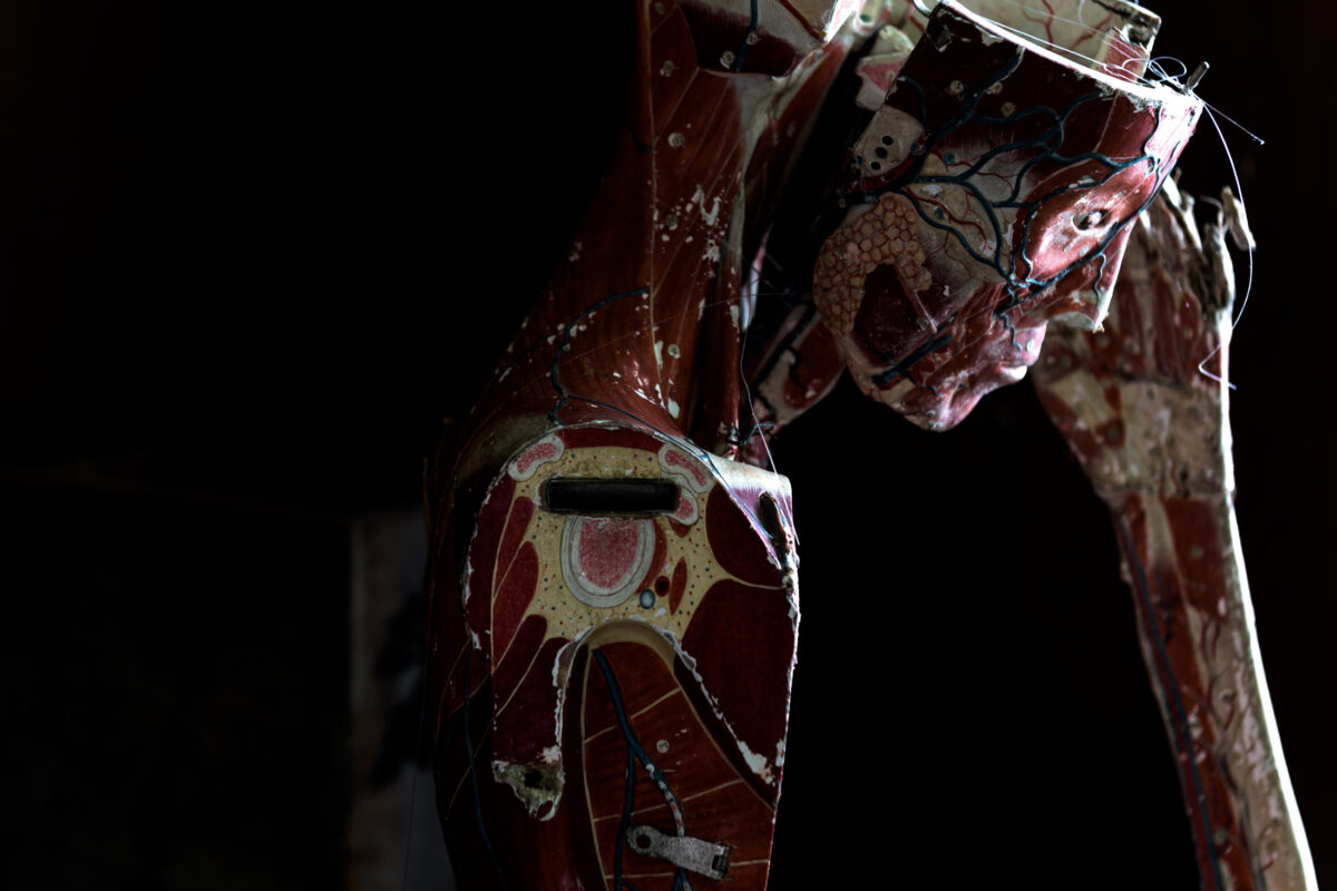 Eerie human anatomy model with exposed muscles in darkness, Silent Hill school horror scene.