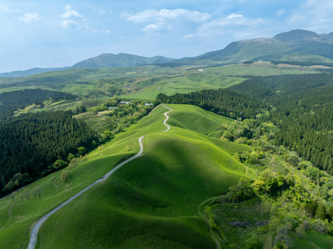 Aerial view of Ogi Terrace Fields with winding path, terraced green hills, and distant mountains.