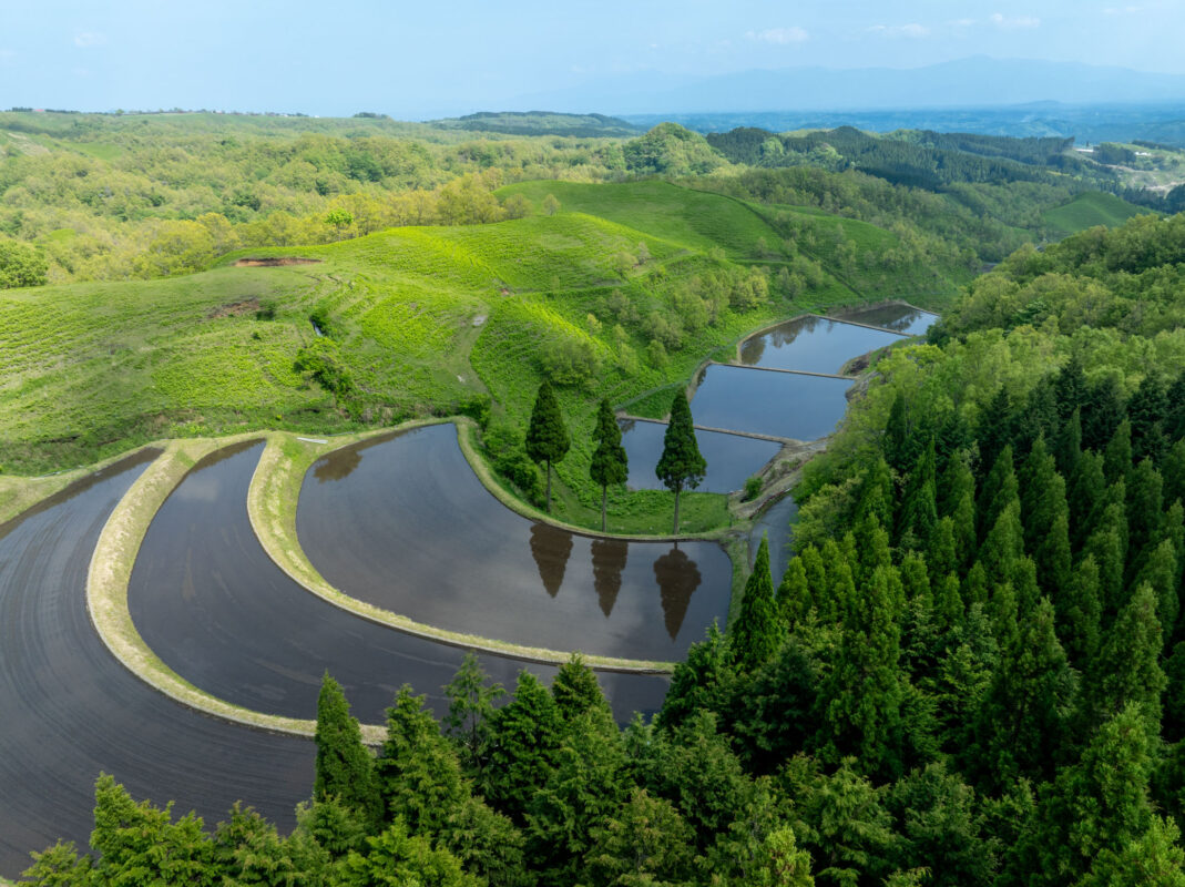 Aerial view of Ogi rice terraces with water-filled paddies reflecting sky on green hills