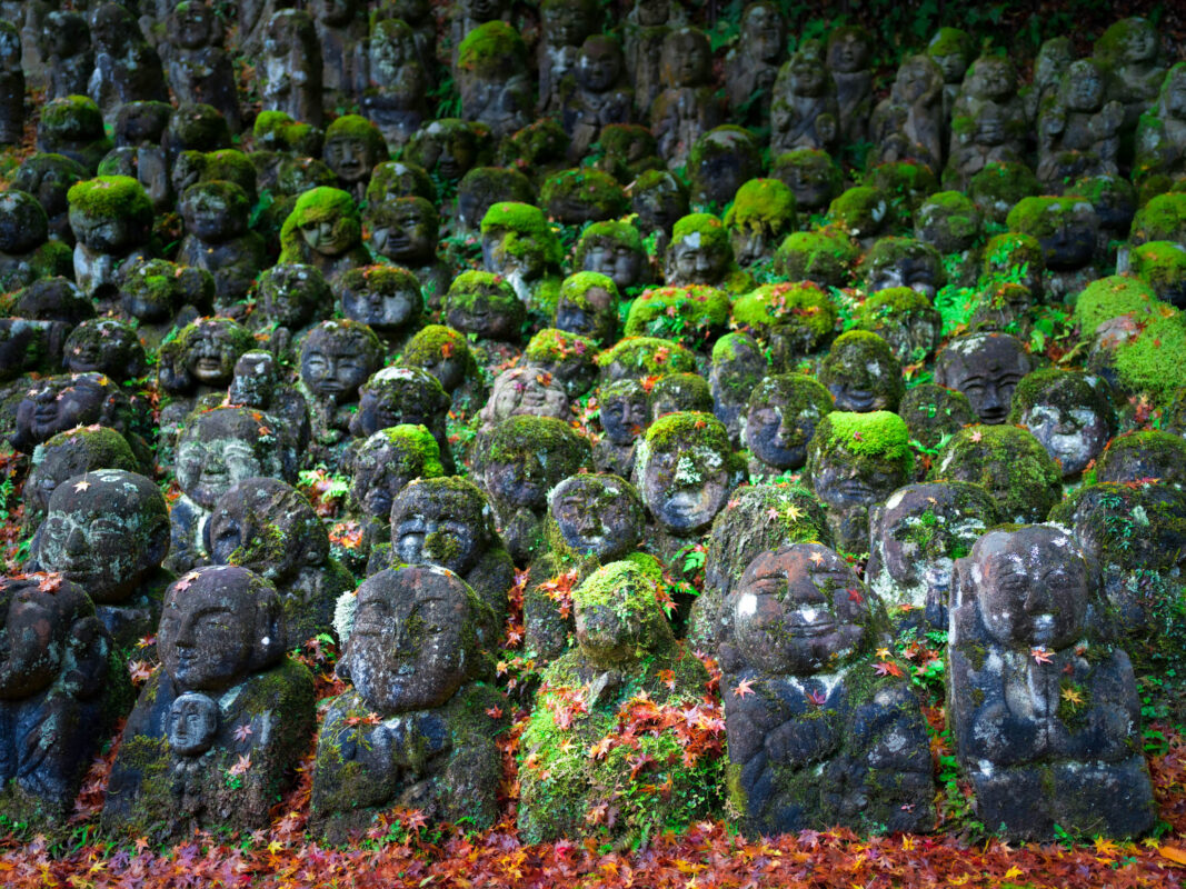 Moss-covered stone Buddha statues in rows at Otagi Nenbutsu-ji Temple, Kyoto in autumn.