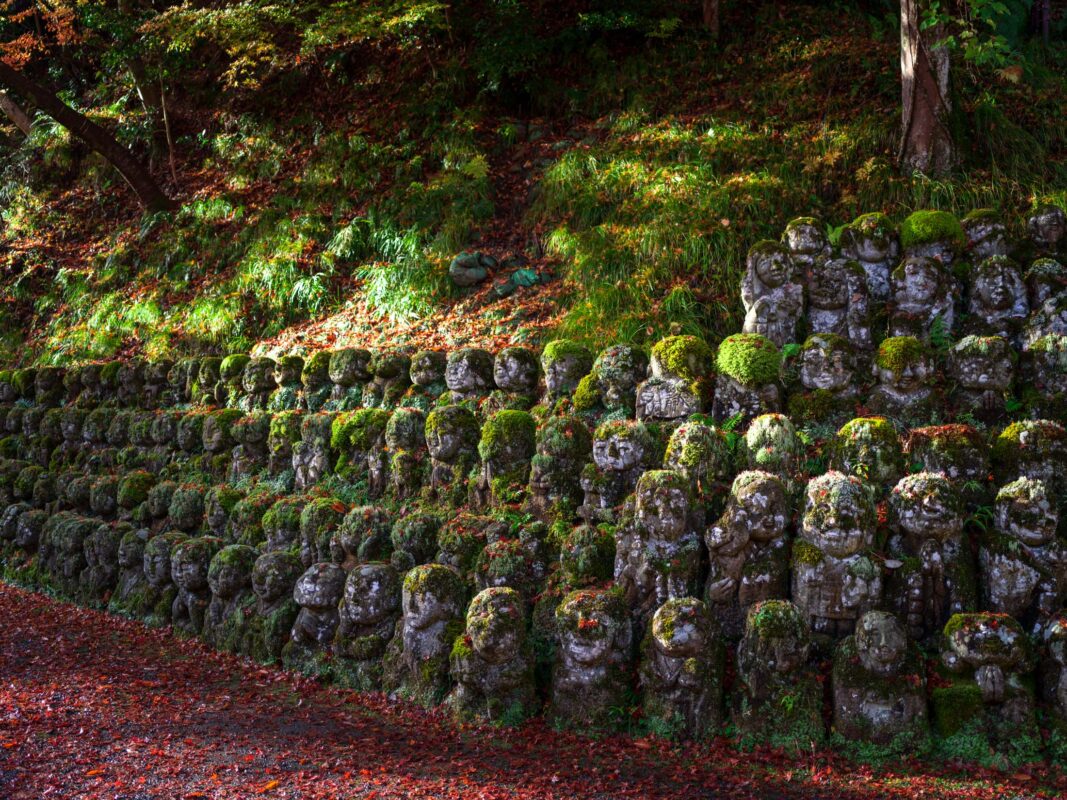 Rows of moss-covered Buddha statues on an autumn hillside at Otagi Nenbutsu-ji, Kyoto