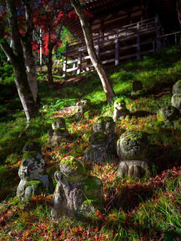 Mossy stone statues on autumn hillside at Otagi Nenbutsu-ji Temple, Kyoto, Japan.