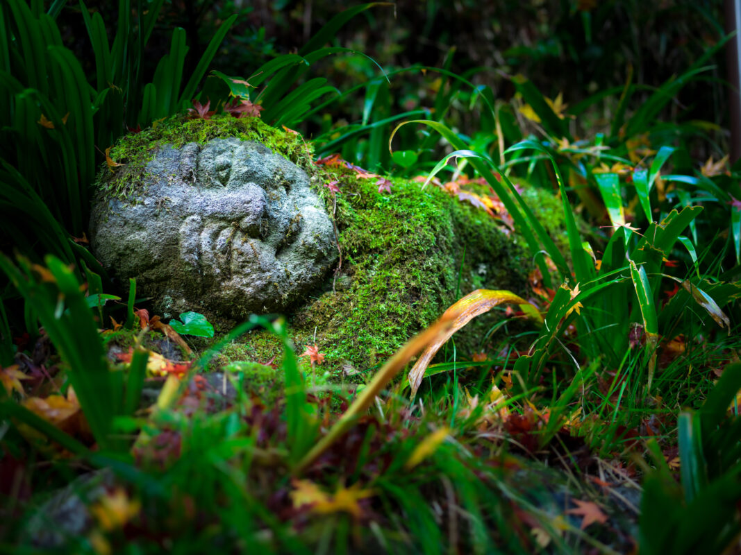 Moss-covered stone Buddha head in grass at Otagi Nenbutsu-ji Temple, Kyoto, Japan.