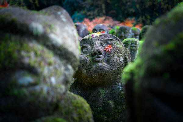Moss-covered rakan statue with red maple leaf at Otagi Nenbutsu-ji, Kyoto
