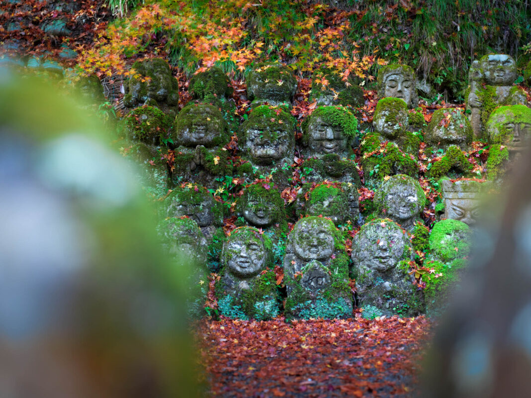 Moss-covered stone statues at Otagi Nenbutsu-ji Temple garden in Kyoto, autumn leaves.