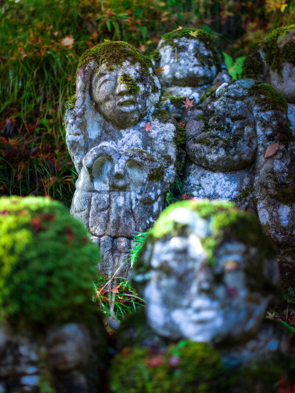 Moss-covered Jizo statues at Otagi Nenbutsu-ji Temple, Kyoto, Japan.